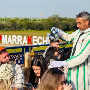 Agafay Desert Quad & Camel Ride with Gnawa Show Dinner | Marrakech